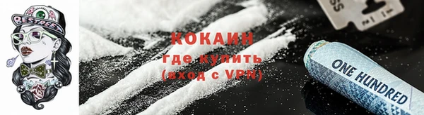 не бодяженный Бородино