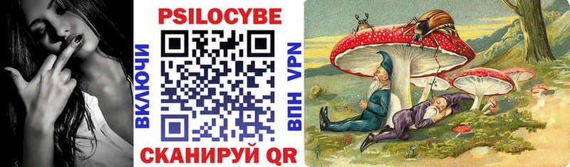 KRAKEN маркетплейс  Чебоксары  Галлюциногенные грибы Psilocybine cubensis 
